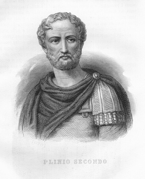 Ritratto di Caius Plinius Secundus