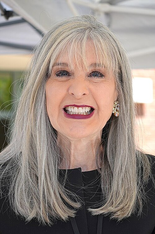 Ritratto di Hank Phillippi Ryan
