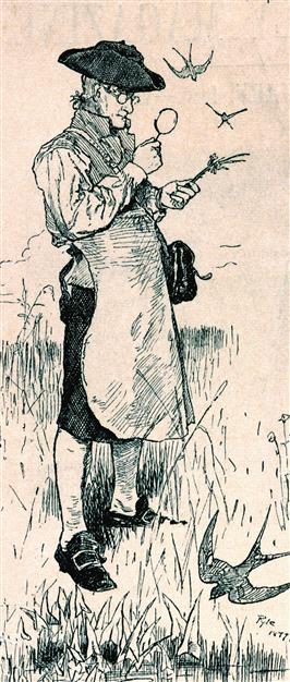 Ritratto di John Bartram