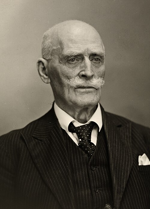 Ritratto di Knut Hamsun
