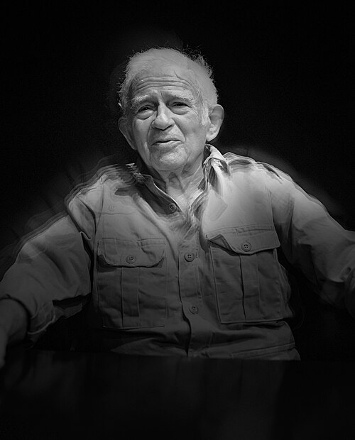 Ritratto di Norman Mailer