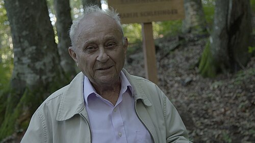 Ritratto di Slavko Goldstein