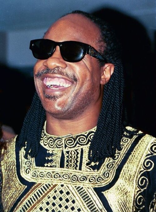 Ritratto di Stevie Wonder