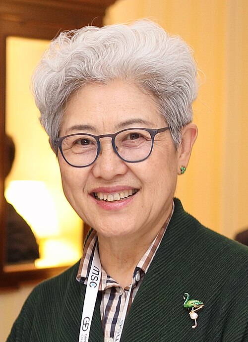 Ritratto di Ying Fu